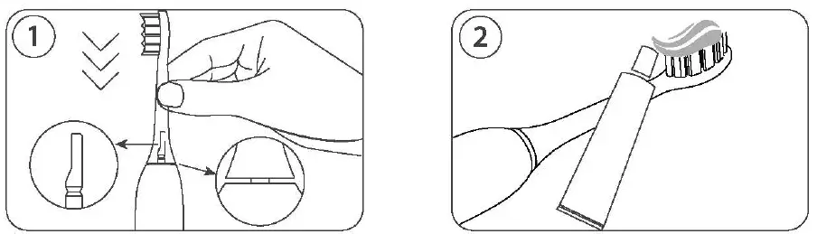 Faylor-Fl-A23-Sonic-Electric-Toothbrush-fig-4