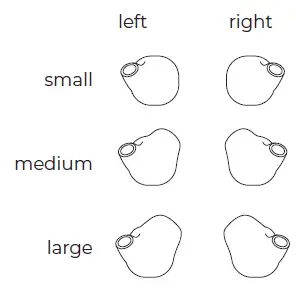 audientes-Companion-Wireless-Earphone-FIG- (2)