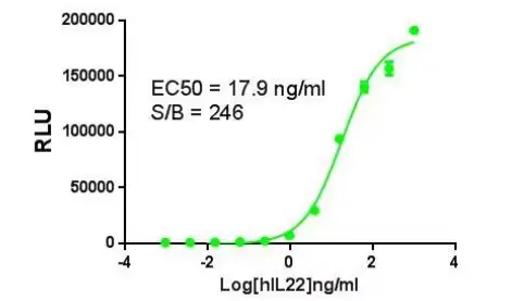 COBIOER-BIOSCIENCES-IL22-Effector-Reporter-Cell-product