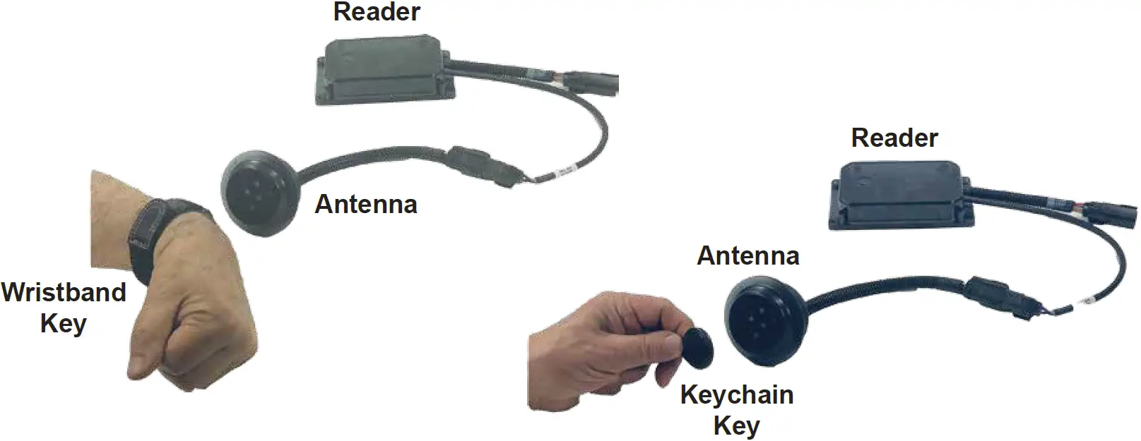 Wristband and Keychain