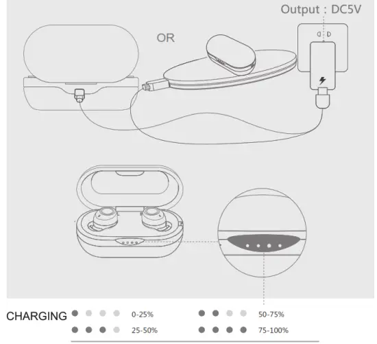 LYPERTEK PurePlayTrue Wireless Earbuds - charging 1
