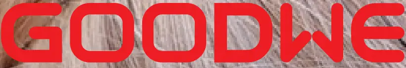 GOODWE