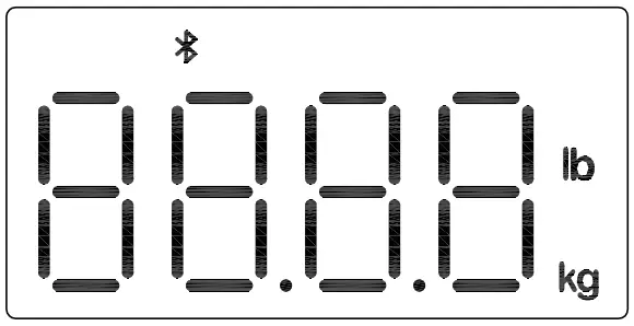 Insert the Batteries