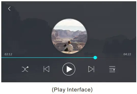 AUXdi DM848 Intelligent Network Music Player - Local Music 3