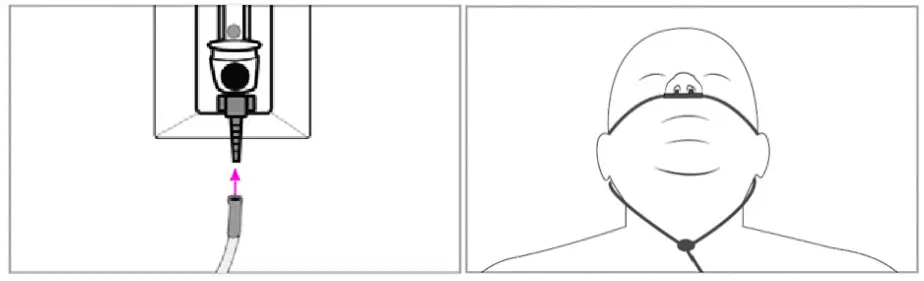 Sconemed Healthcare Providers and Facilities - Setup 8