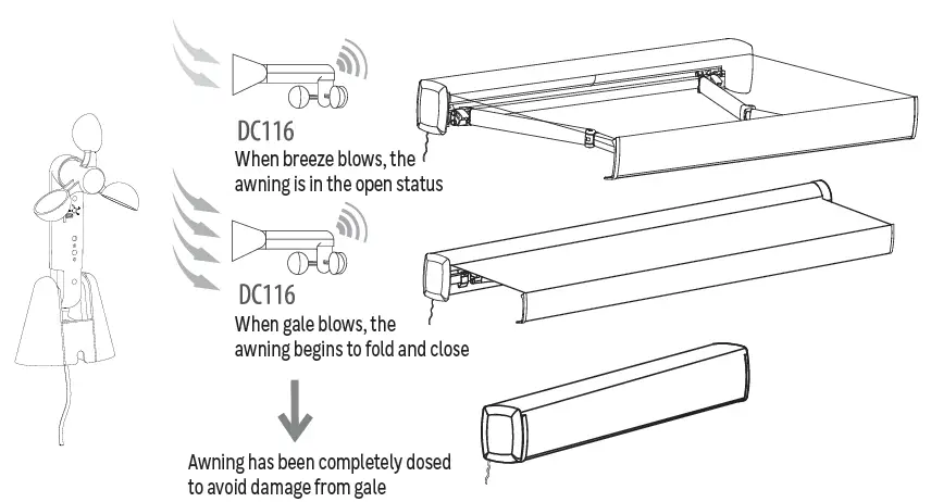 NATERIAL DC116 ANEMO ZN 8