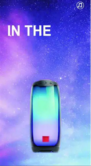 FUTURE ELECTRONICS M12132 Portable Bluetooth Speaker