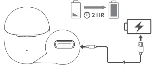 Charge Charging Case