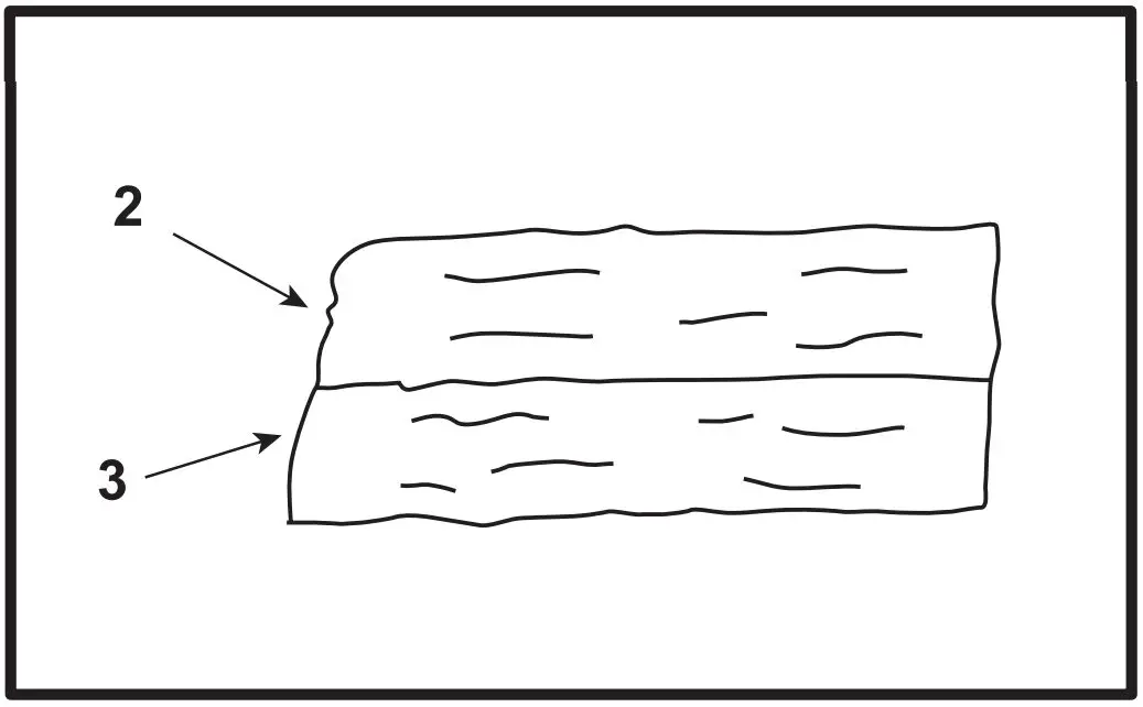 Assembly Instructions