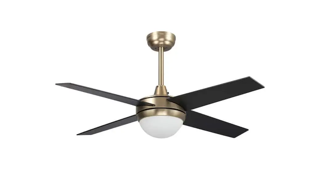 Carro Wgs-523fl Led Indoor Gold Smart Ceiling Fan User Manual Carro Wgs-523fl Led Indoor Gold Smart Ceiling Fan User Manual