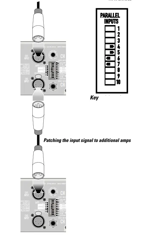 QSC RMX Series Amplifier - input signal to additional amps