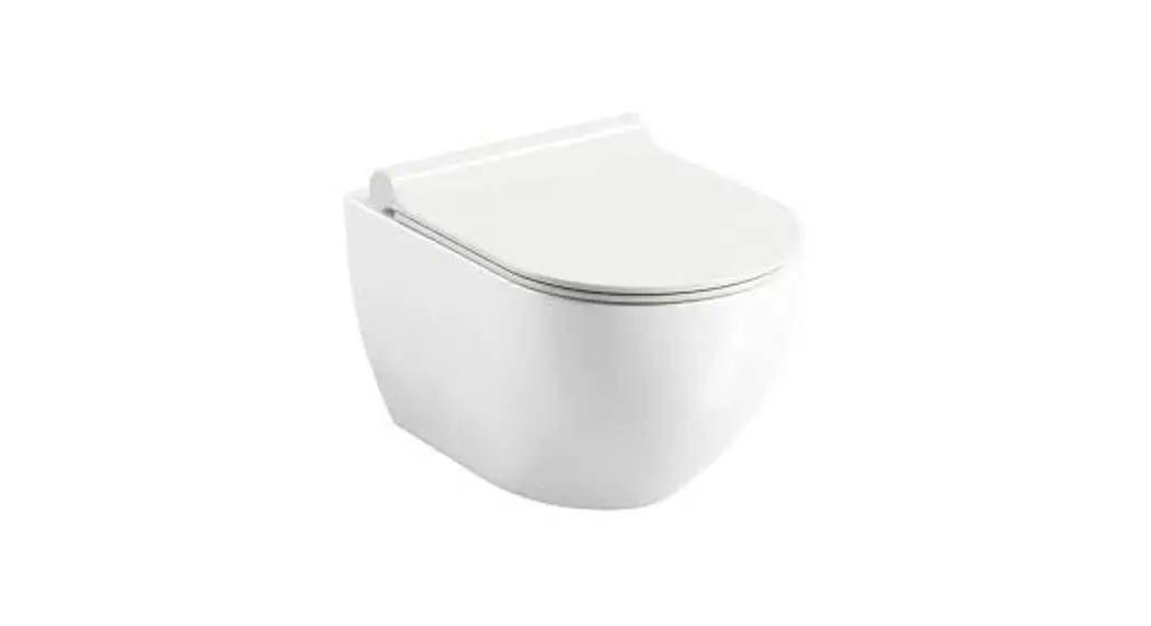 Ravak X01516 Wc Chrome Rimoff Toilet Instruction Manual