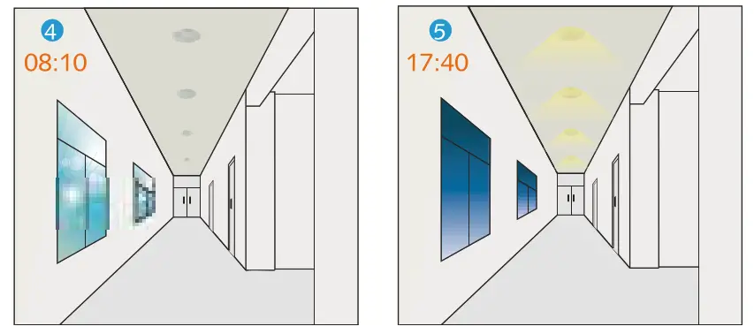 MALMBERGS Acis LED Wall-Ceiling Luminaire - 12