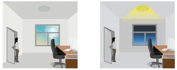 MALMBERGS Acis LED Wall-Ceiling Luminaire - 2