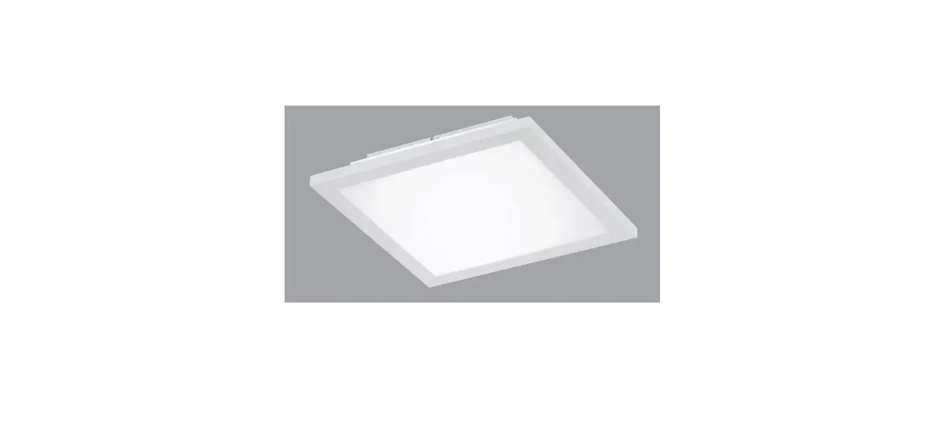 Paul Neuhaus 12100 Ceiling Light Instruction Manual