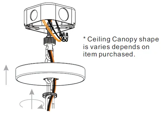 Quoizel-MAB5026MBK-Mabel-5-Light-Matte-Black-Chandelier-FIG-12