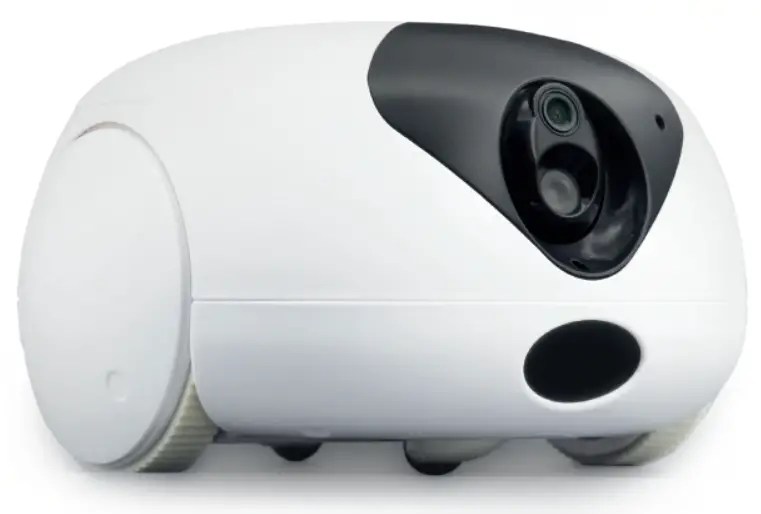 L chic PTB1 Bow Pet Robot -