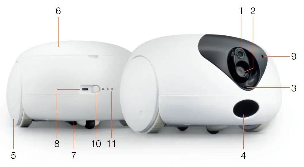 L chic PTB1 Bow Pet Robot - Fig