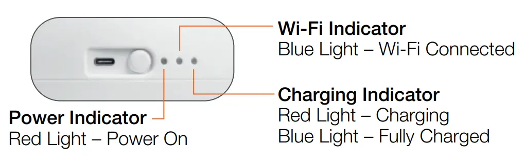 L chic PTB1 Bow Pet Robot - Fig1
