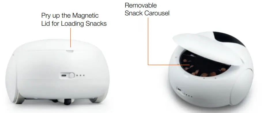 L chic PTB1 Bow Pet Robot - Fig6