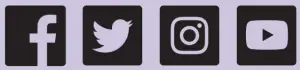 Social media icons