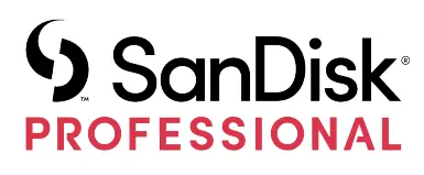 SanDisk-logo