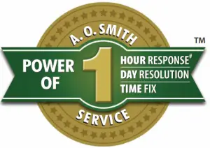 ao smith x8 water purifier- beepss