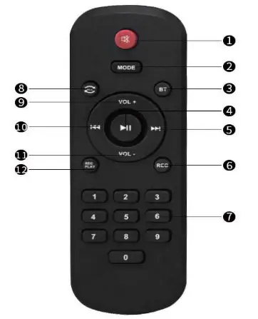 JYX 66BT Karaoke Machine with 2 Wireless Microphone- Remote control