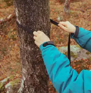 TENTSILE -UNA -Tree -Tent -3