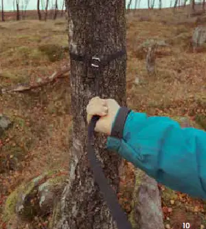 TENTSILE -UNA -Tree -Tent -4