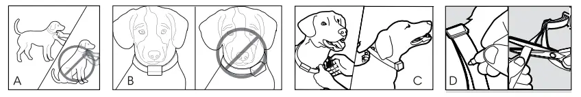 lightinthebox B601 Bark Control Collar - fig 7