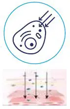 EVENSKYN-LUMO-0013-Anti-Aging-Skin-Tightening-Device-09