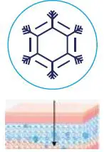 EVENSKYN-LUMO-0013-Anti-Aging-Skin-Tightening-Device-10