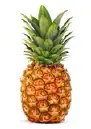 Pine Apple