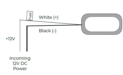 ITC-Anya-Courtesy-Light-FIG-5