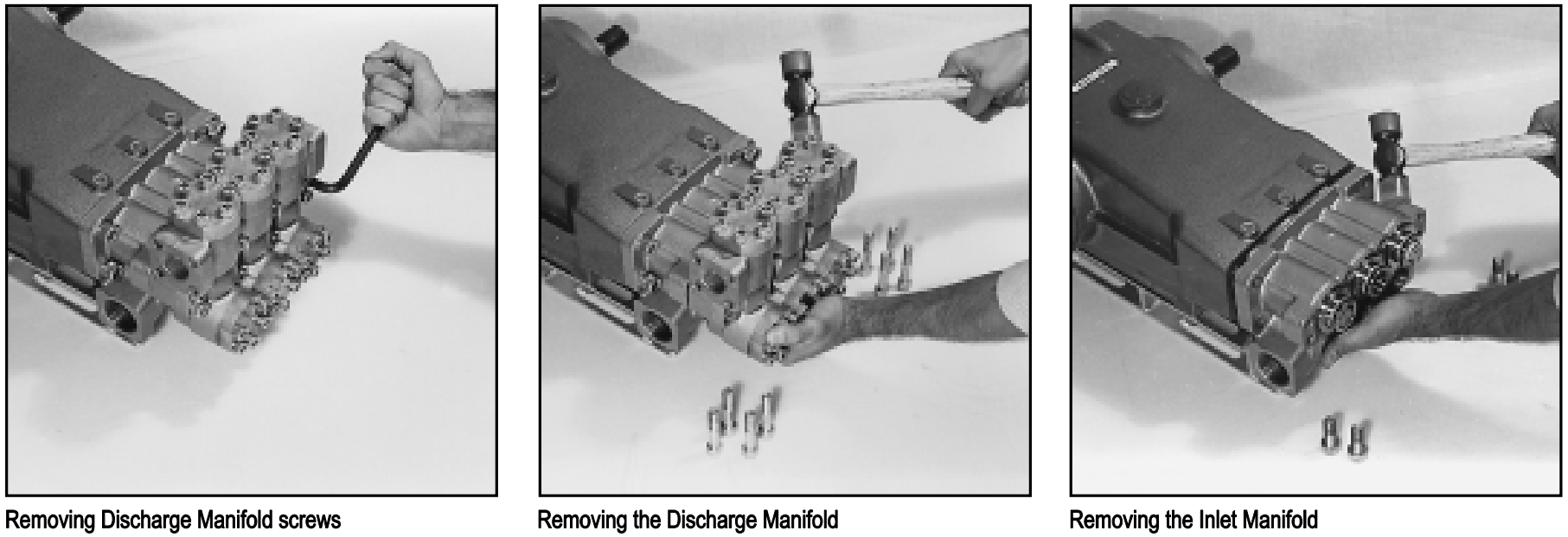 CAT PUMPS 35PFR Plunger Pump - FIGURE 2