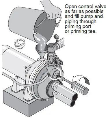 PENTAIR-FP4200-Series-Convertible-Deep-Well-Jet-Pumps-fig- (18)