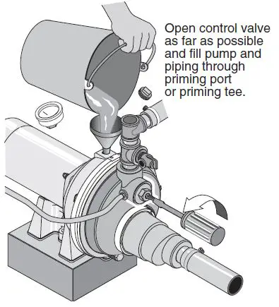 PENTAIR-FP4200-Series-Convertible-Deep-Well-Jet-Pumps-fig- (21)
