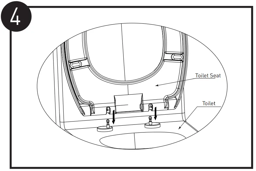 Install and Remove Toilet Seat