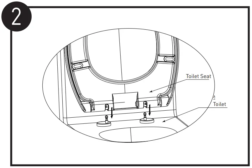 Install and Remove Toilet Seat