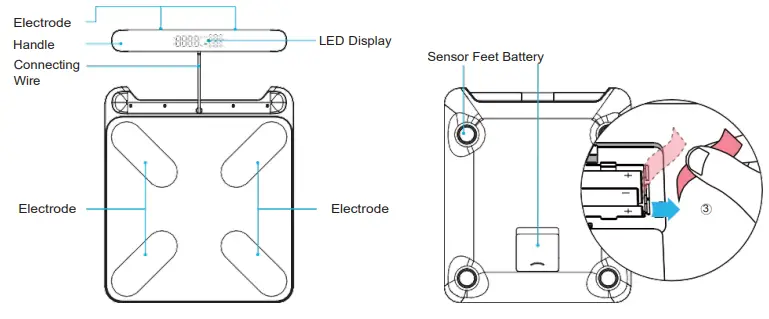 Xiamen-Edde-Sports-Technology-BFS2105-Smart-Body-Fat-Scale-with-8-Electrodes-fig-4