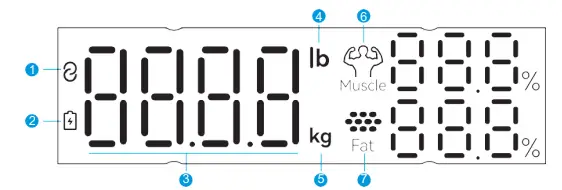 Xiamen-Edde-Sports-Technology-BFS2105-Smart-Body-Fat-Scale-with-8-Electrodes-fig-5