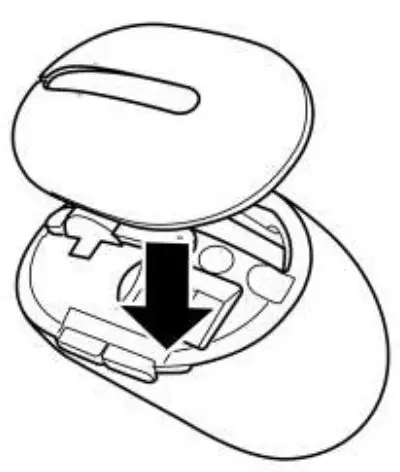 Setting up your wireless mouse