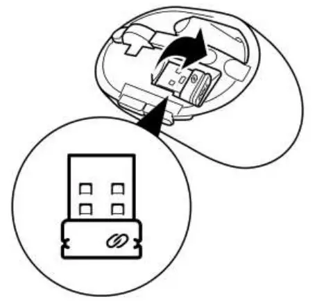Setting up your wireless mouse