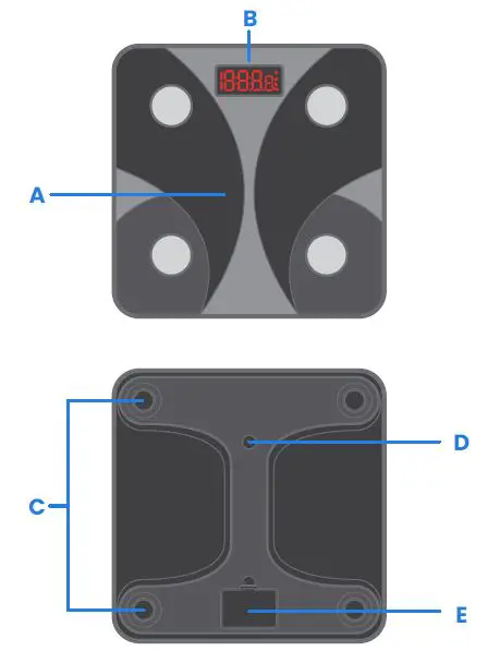 ETEKCITY FIT 8S Smart Fitness Scale FIG-1