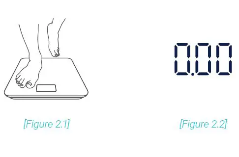 ETEKCITY FIT 8S Smart Fitness Scale FIG-5
