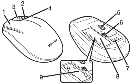 Name and function of each part