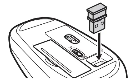 Name and function of each part