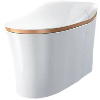 N82-KOHLER045 Intelligent Toilet