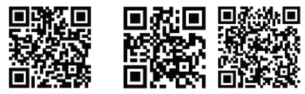 Shenzhen-Solebe-Electronics-Y797-Smart-Lock-3